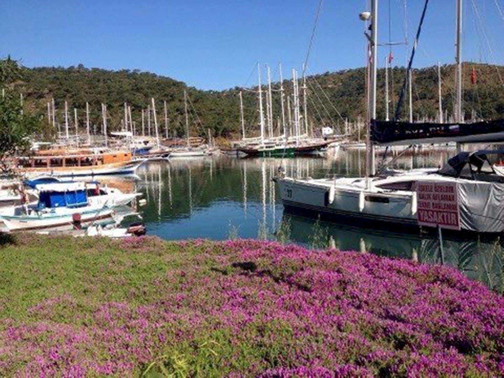 Ferah Hostel Monica'S Place Fethiye Exteriör bild